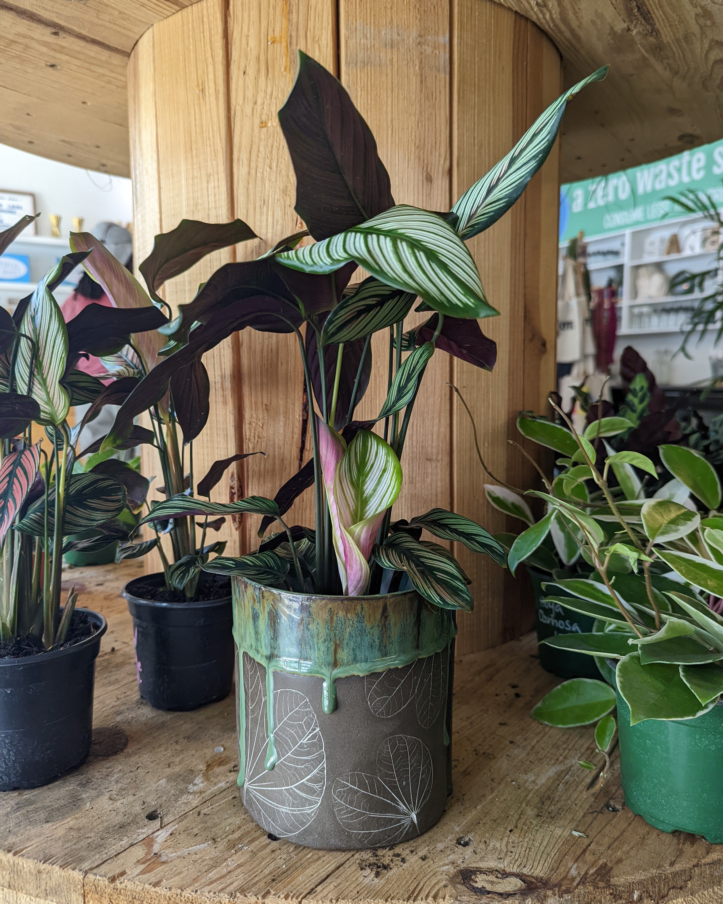 Planters & Hangers